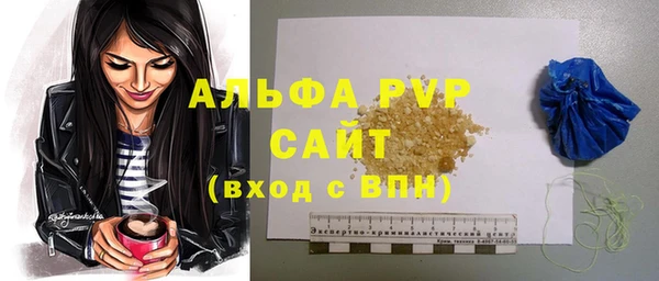 стаф Аркадак