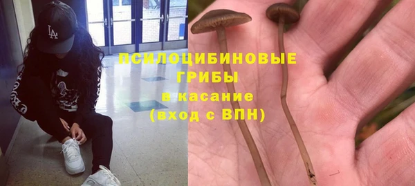 таблы Армянск