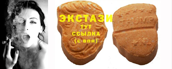 стаф Аркадак