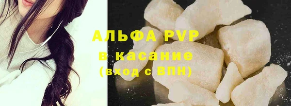 стаф Аркадак