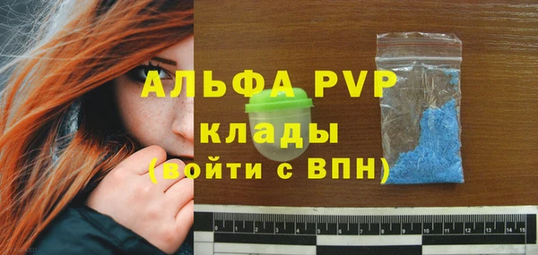 стаф Аркадак