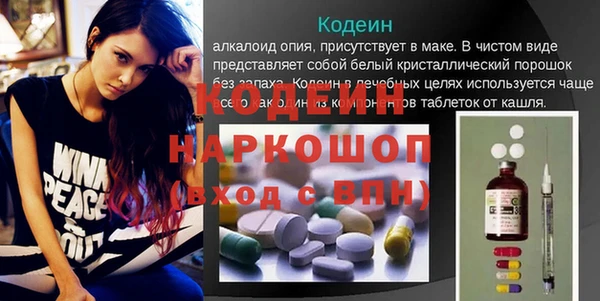 стаф Аркадак