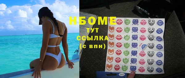 стаф Аркадак