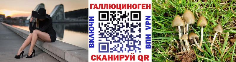 Купить  Лосино-Петровский  Галлюциногенные грибы мицелий 